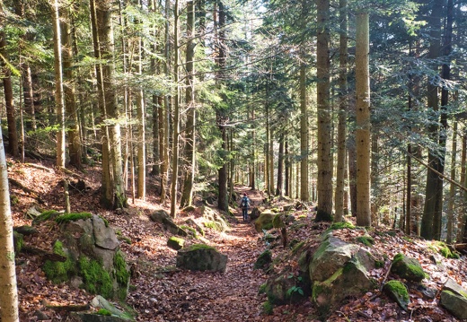 20220205202140-f3034586